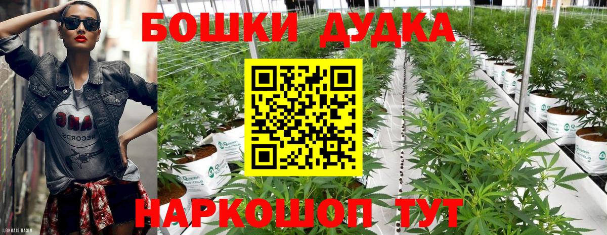 Конопля Bruce Banner Назрань